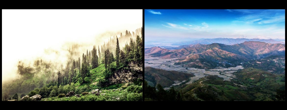 Online & Interactive Course in Photography — student work 8