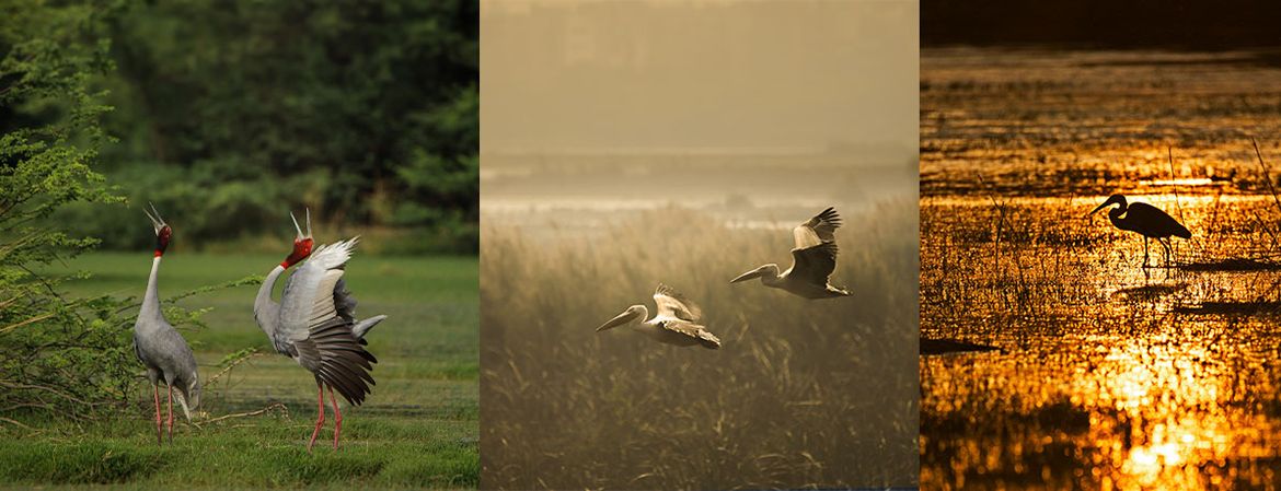 Delhi School of Photography | Diploma in Photography — student work 6