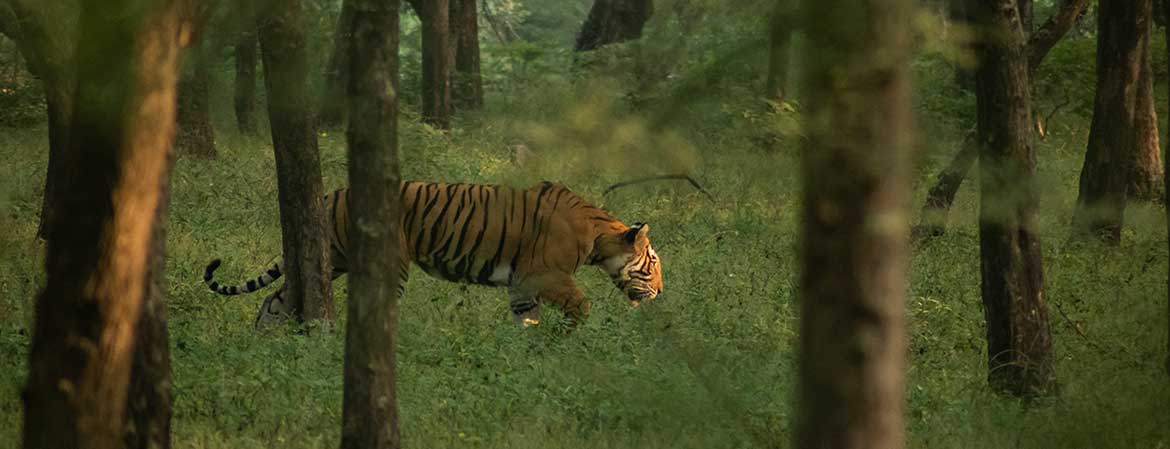 Delhi School of Photography Milestones — student work 3